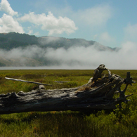 (c) Marin County Parks